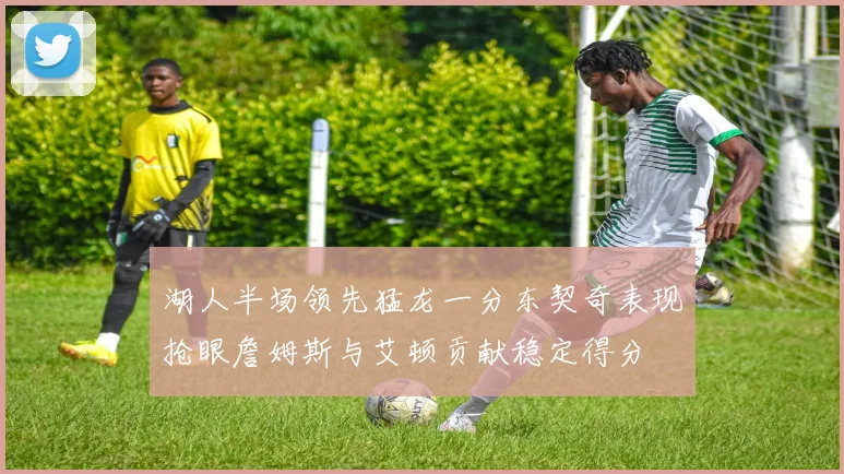 湖人半场领先猛龙一分东契奇表现抢眼詹姆斯与艾顿贡献稳定得分