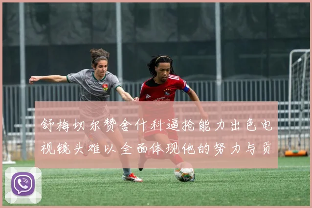 舒梅切尔赞舍什科逼抢能力出色电视镜头难以全面体现他的努力与贡献